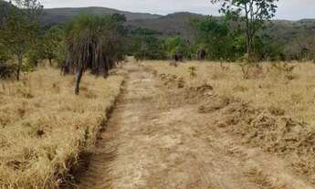 Imagem 7: Vendo terras em São Jorge