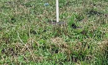 Imagem 2: Terreno em Unamar