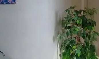 Imagem 2: Apartamento no Prado com 3 quartos em Prado - Recife - PE