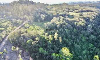 Imagem 7: INBOX CIA IMOBILILIÁRIA VENDE EM PINTO BANDEIRA - Área de terras com 2 hectares em Pinto B