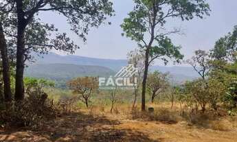 Imagem 7: Vende-se Chácara de 15 mil m², sentido Lajeado