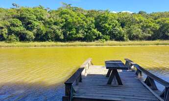 Imagem 3: Chácara com grande produção de Pitaia em Guarapari - ES