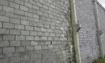 Imagem 2: Galpão com otima localização