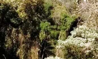 Imagem 4: Lote em condomínio em Alameda das Glicínias - Pirucaia - Mairiporã/SP