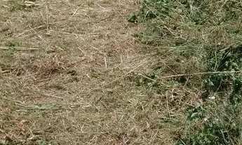 Imagem 7: Terreno 150m2, Atibaia jd Imperial