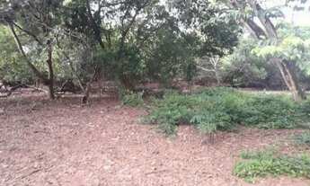 Imagem 4: Terreno à venda, 15000 m² por R$ 6.500.000,00 - Pajuçara - Natal/RN