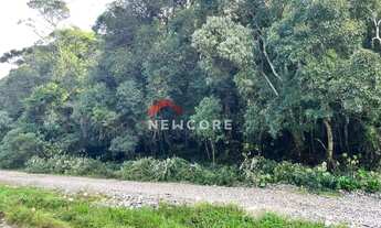 Imagem 4: Lote em Avenida Chimangos - Colinas - São Francisco de Paula/RS