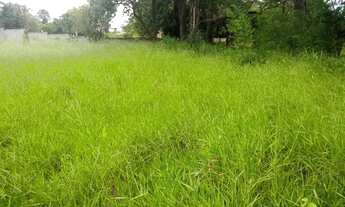 Imagem 2: VIANOPOLIS - BETIM/MG