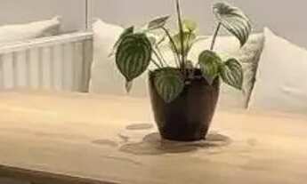 Imagem 4: Apartamento à venda no Condomínio Residencial Spazio Splendido, em Sorocaba-SP