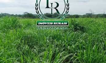 Imagem: Oportunidade Chácara de 34 Hectares Próximo