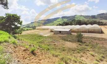 Imagem 2: Chegou a oportunidade que você esperava para investir no agronegócio!