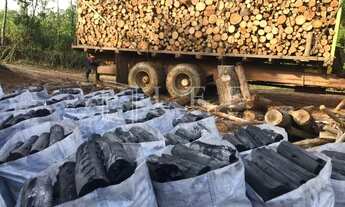 Imagem 7: Sitio a Venda em Pilar do Sul - SP