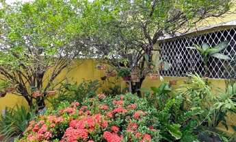 Imagem 3: Excelente casa na Ilha do Leite com 5 quartos, jardim e garagem - Próxima a hospitais