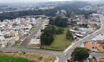 Imagem 2: Terreno de 12.000m² no Itaqui com ótima localização e potencial!