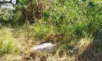 Imagem 6: Terreno 125 m2 em s. pedro- sant. paraíba- facilitado- entrada e mais parcelas