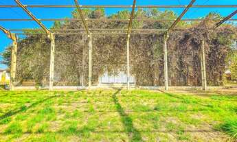 Imagem 3: Alugo area comercial com galpão - 6300m2