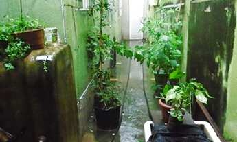 Imagem 4: Galpão para aluguel, 1 vaga, Horto - Belo Horizonte/MG