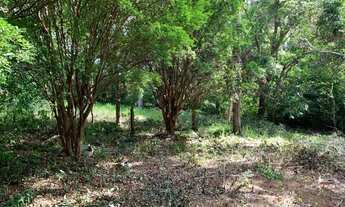 Imagem 2: Chácara 15.000m² , com luz, riacho nos fundos, Jaboticatubas