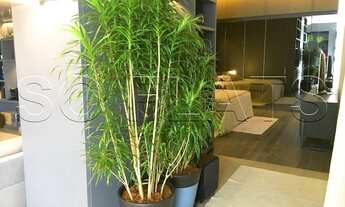 Imagem 3: Apto no Itaim, moderno, lindo e muito bem equipado!!!