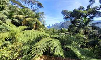 Imagem: Casa em Condomínio para Venda em Teresópolis