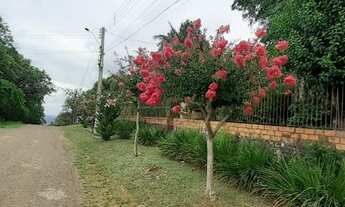 Imagem 6: Fazenda/Sítio/Chácara para venda possui 205 m2 com 3 quartos