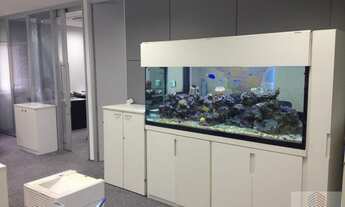 Imagem: Sala Comercial para Locação em São Paulo