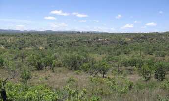 Imagem 7: Terreno 24 ha, 2 km do asfalto, 1 km do centro Baldim