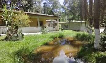 Imagem 7: Super chacrinha plaina próximo cachoeira turística 217 mil reais