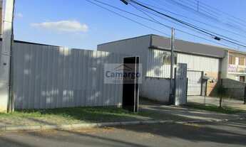 Imagem 4: Terreno à venda no Bairro Campo Comprido - Próximo ao terminal