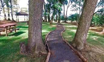 Imagem 4: Terreno em Condomínio Industrial em Mogi Mirim - Limeira