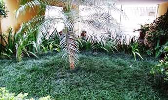 Imagem 3: Apartamento próximo Av. Lins de Vasconcelos e ao Parque da Aclimação confira!