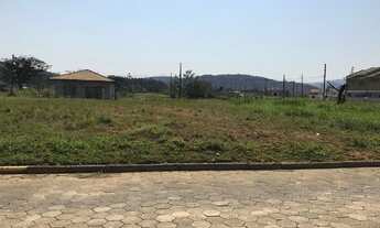 Imagem: Gaspar - Terreno Padrão - Figueira