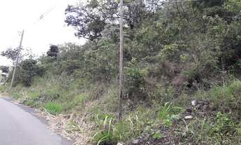 Imagem 2: Lote 600 mts quadrados, bairro Mangabeiras, próximo à av. Bandeirantes