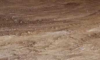 Imagem 6: Vendo Galpão Galpão / depósito com venda por R$420.000