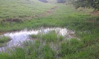 Imagem 4: Terra 6.5 alqueires em Alpercata MG