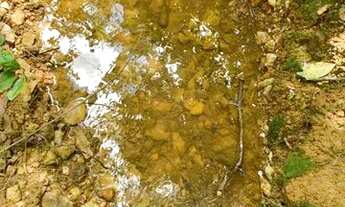 Imagem 5: Sitio 4700m², casa, cozinha caipira, poço artesiano, nascente, Jaboticatubas