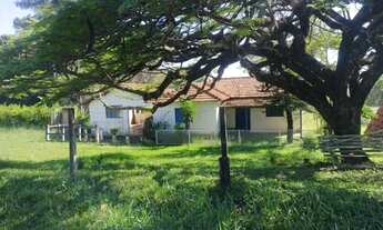 Imagem 4: Área a venda na Washington Luiz em Uchôa -SP