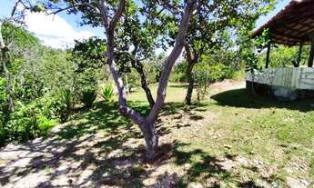 Imagem 7: Chácara região do Manso