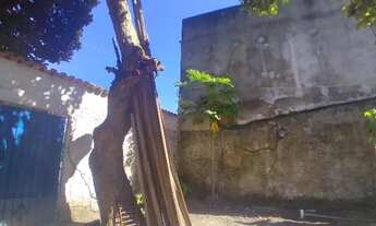 Imagem 4: Casa 500m2 - oswaldo cruz Ananindeua