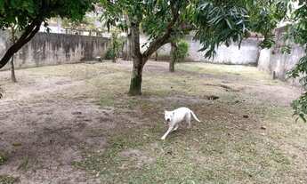 Imagem 5: Terreno para Venda em Serra, Jacaraípe