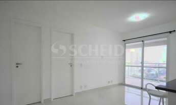 Imagem 2: Lindo Apartamento para locação Vila Mascote