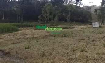 Imagem 6: SÍTIO DE 13 ALQUEIRES À VENDA EM Lorena -SP