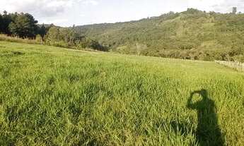 Imagem 5: Chácara com 2 Hectares com arroio