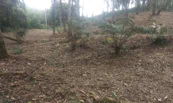 Imagem 6: Terreno com poço artesiano 1600 mts² 200mts do asfalto