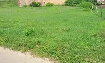 Imagem 2: Terreno na taboca 76380