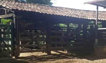 Imagem 6: Terra 6.5 alqueires em Alpercata MG