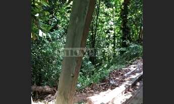 Imagem 2: Freguesia (Jacarepaguá