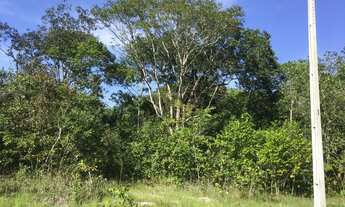 Imagem 4: Chácara, 20.000 m2, até 11 hectares, prox. Pousada Paraíso, córrego translúcido - Pirenópo