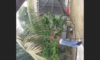 Imagem 5: Residência documentada