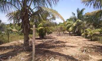 Imagem 2: Vendo terreno em porto de Sauípe